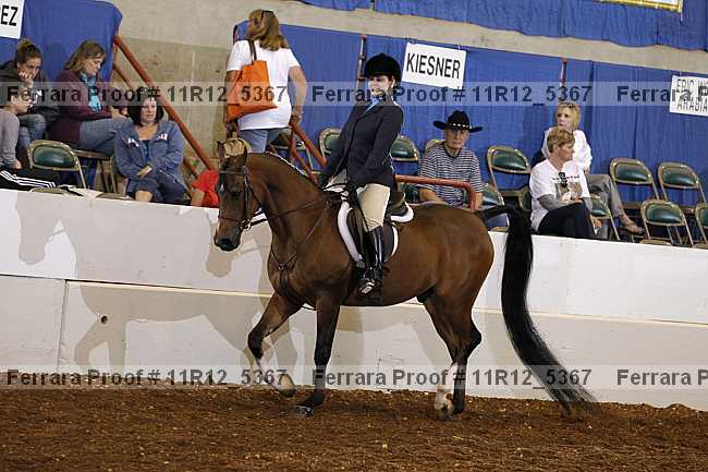 Proof 11r12_5367