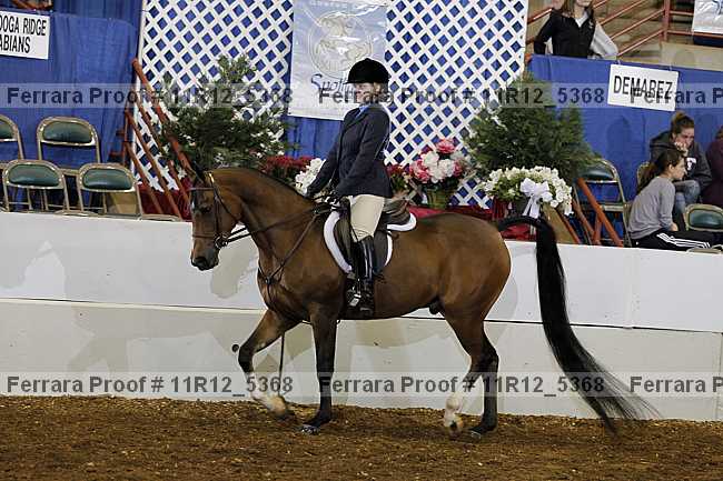 Proof 11r12_5368
