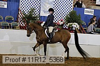 11r12_5368 proof