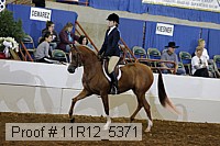 11r12_5371 proof