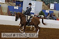 11r12_5373 proof