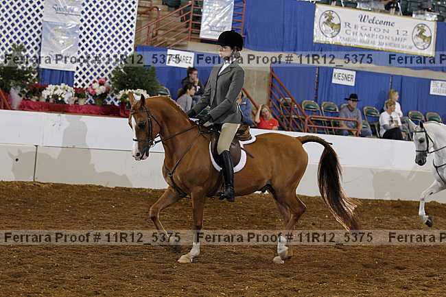 Proof 11r12_5375