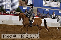 11r12_5375 proof