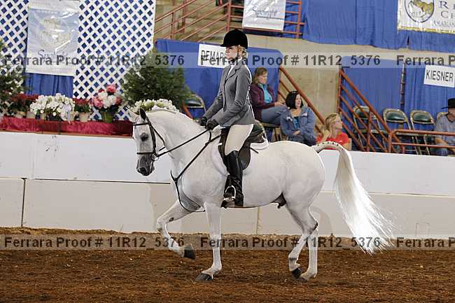 Proof 11r12_5376