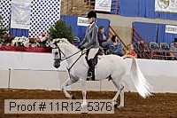 11r12_5376 proof
