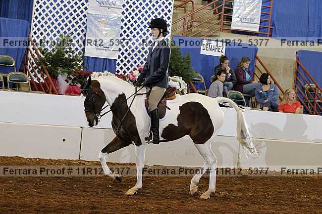 Proof 11r12_5377
