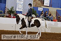 11r12_5377 proof