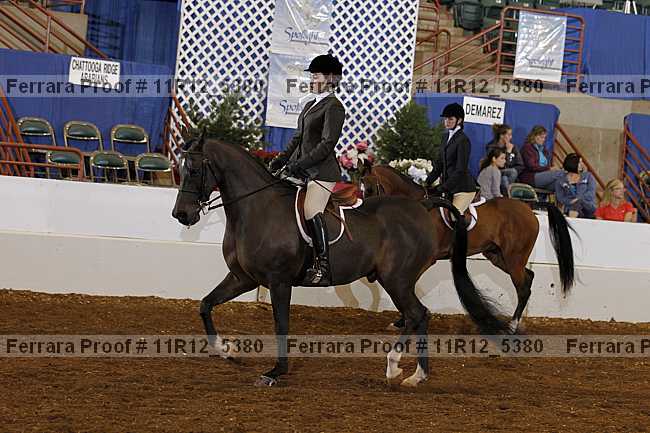 Proof 11r12_5380