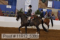 11r12_5380 proof
