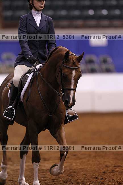 Proof 11r12_5381