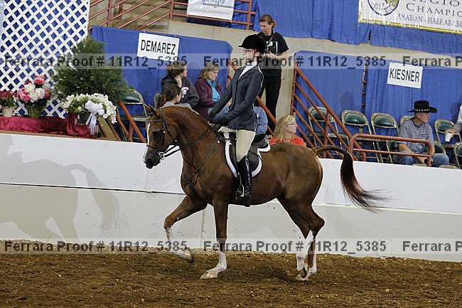 Proof 11r12_5385