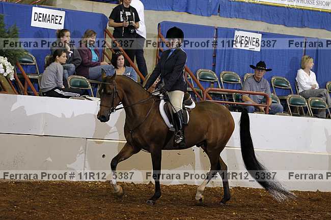 Proof 11r12_5387