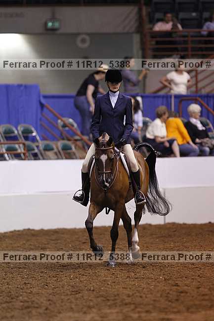 Proof 11r12_5388