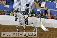 11r12_5392 proof