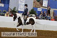 11r12_5393 proof