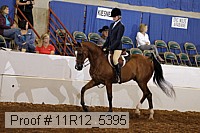 11r12_5395 proof