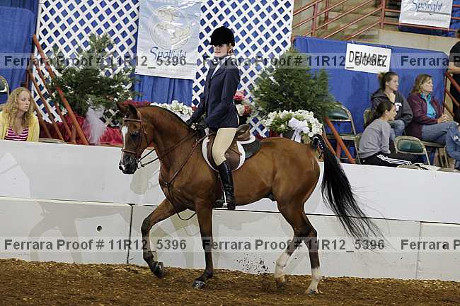 Proof 11r12_5396