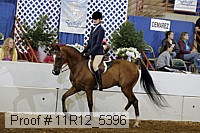 11r12_5396 proof