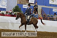 11r12_5398 proof
