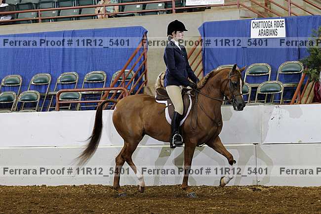 Proof 11r12_5401