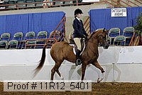 11r12_5401 proof