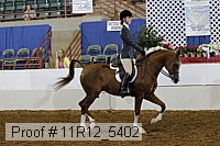 11r12_5402 proof