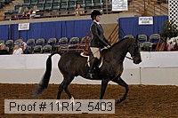 11r12_5403 proof