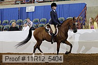 11r12_5404 proof