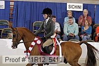 11r12_5411 proof