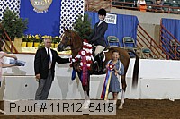 11r12_5415 proof