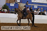 11r12_5453 proof