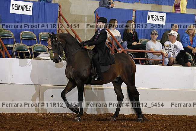 Proof 11r12_5454