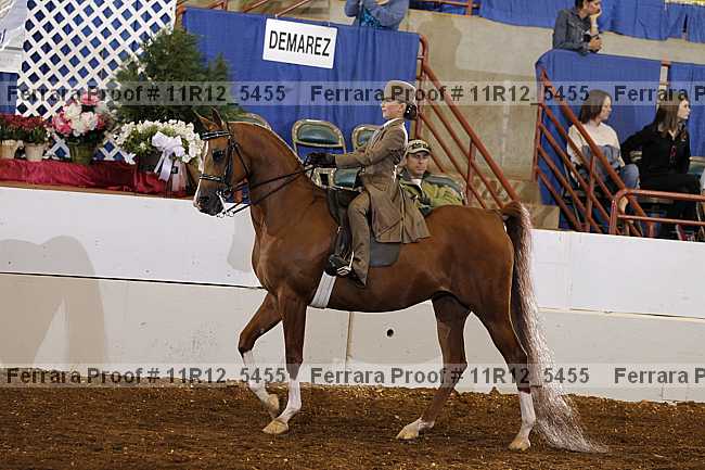 Proof 11r12_5455