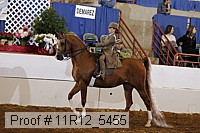 11r12_5455 proof