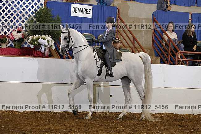 Proof 11r12_5456