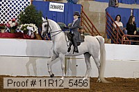 11r12_5456 proof