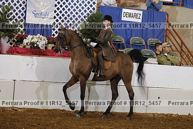Proof 11r12_5457