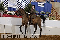 11r12_5457 proof