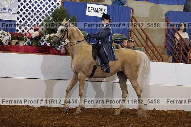 Proof 11r12_5458
