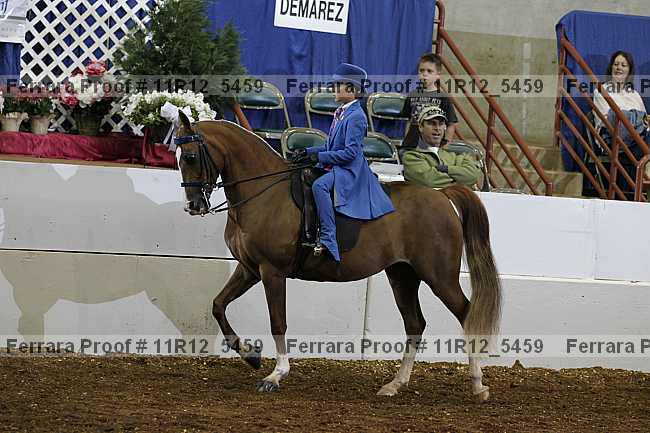 Proof 11r12_5459