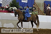 11r12_5459 proof
