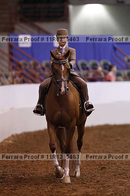 Proof 11r12_5463