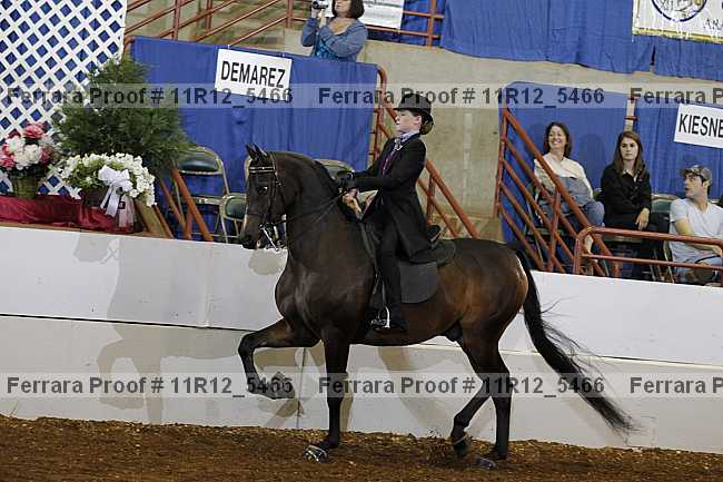 Proof 11r12_5466