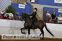 11r12_5466 proof