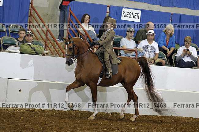 Proof 11r12_5468
