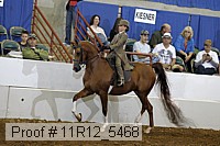 11r12_5468 proof