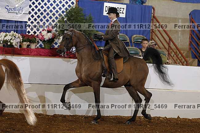 Proof 11r12_5469