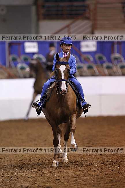 Proof 11r12_5475