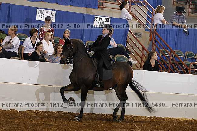 Proof 11r12_5480