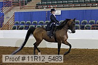 11r12_5483 proof